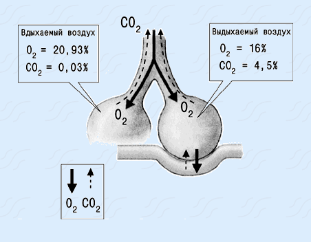 gas.png