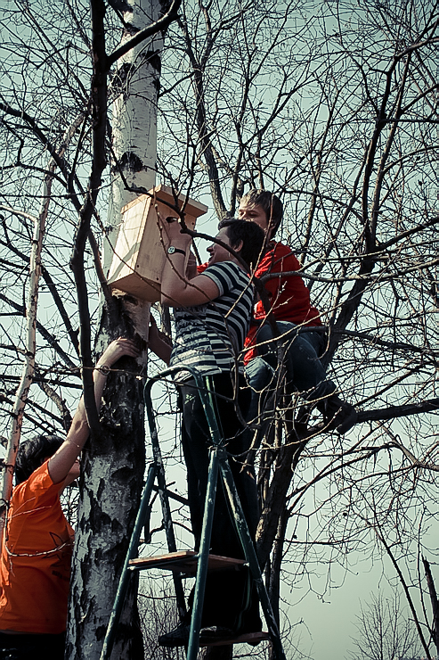 nesting-box-24.jpg