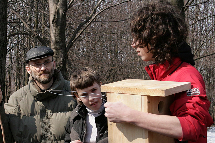 nesting-box-17.jpg