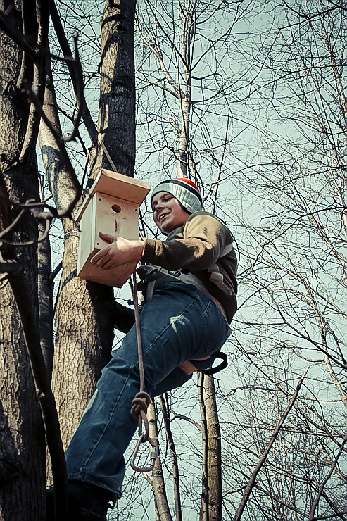 nesting-box-22.jpg