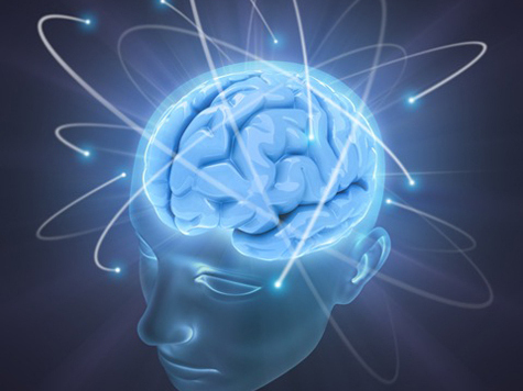 brain.jpg