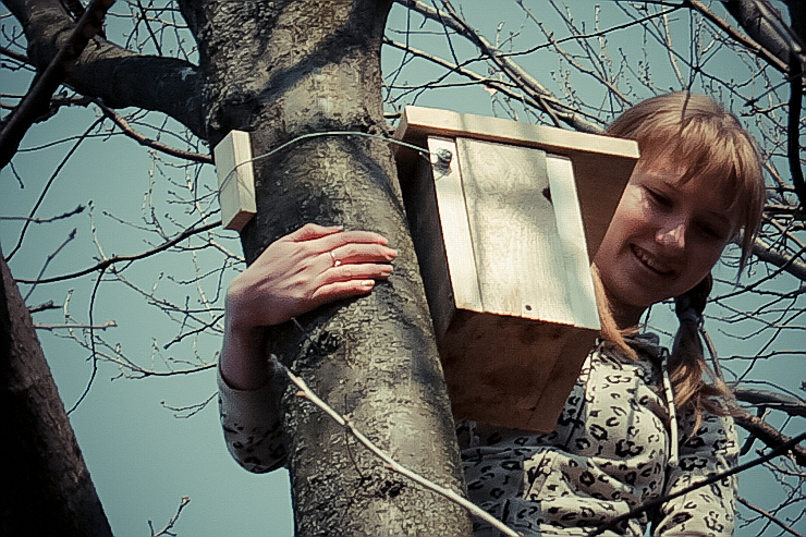 nesting-box-20.jpg