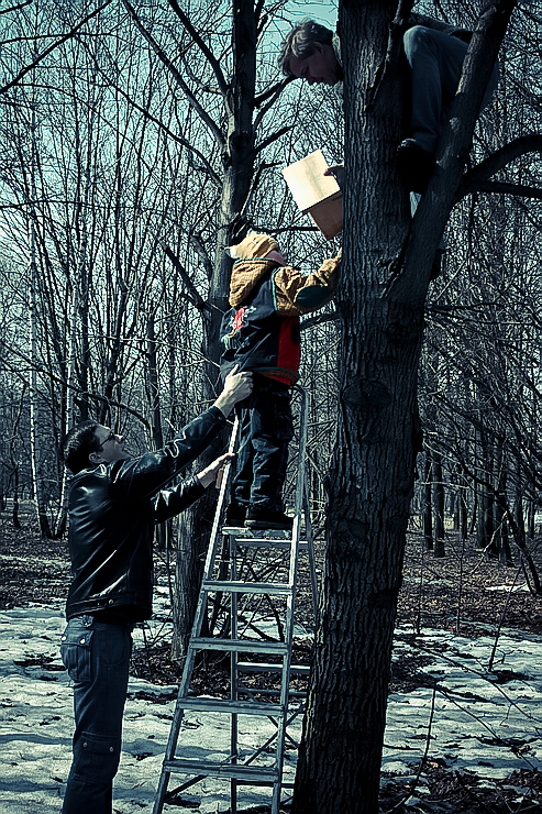 nesting-box-21.jpg